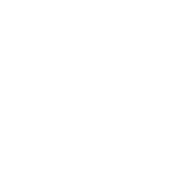 devflip
